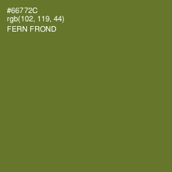 #66772C - Fern Frond Color Image