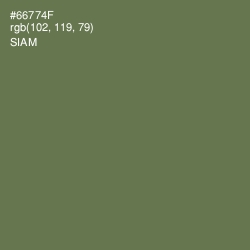 #66774F - Siam Color Image