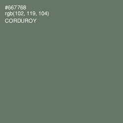 #667768 - Corduroy Color Image