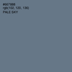 #667888 - Pale Sky Color Image