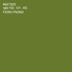 #66792D - Fern Frond Color Image