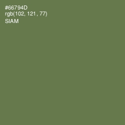 #66794D - Siam Color Image