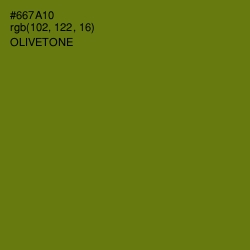 #667A10 - Olivetone Color Image