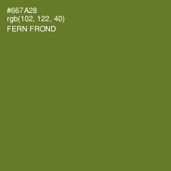 #667A28 - Fern Frond Color Image