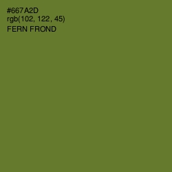 #667A2D - Fern Frond Color Image