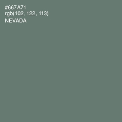#667A71 - Nevada Color Image
