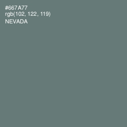 #667A77 - Nevada Color Image