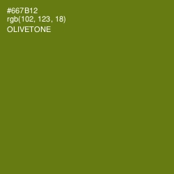 #667B12 - Olivetone Color Image