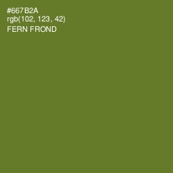 #667B2A - Fern Frond Color Image