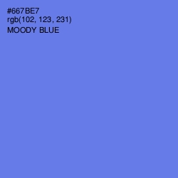#667BE7 - Moody Blue Color Image