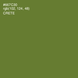 #667C30 - Crete Color Image