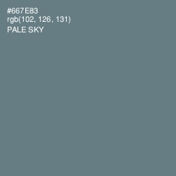 #667E83 - Pale Sky Color Image