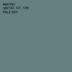 #667F81 - Pale Sky Color Image