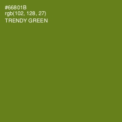 #66801B - Trendy Green Color Image
