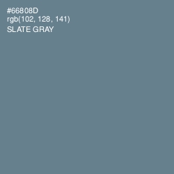 #66808D - Slate Gray Color Image