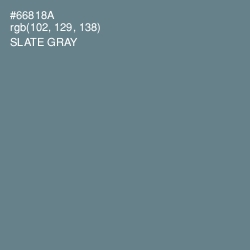 #66818A - Slate Gray Color Image