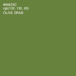 #66823C - Olive Drab Color Image