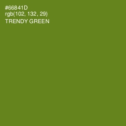 #66841D - Trendy Green Color Image