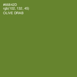 #66842D - Olive Drab Color Image