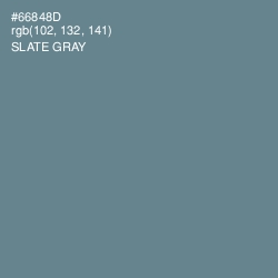 #66848D - Slate Gray Color Image