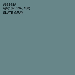 #66868A - Slate Gray Color Image