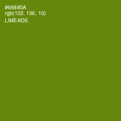 #66880A - Limeade Color Image