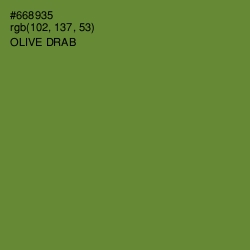 #668935 - Olive Drab Color Image