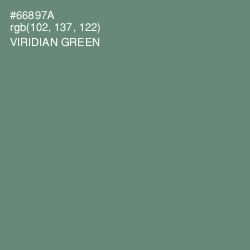#66897A - Viridian Green Color Image