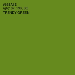 #668A1E - Trendy Green Color Image