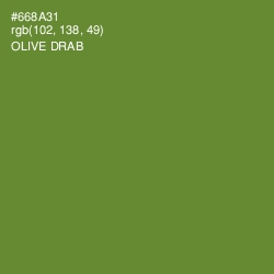 #668A31 - Olive Drab Color Image