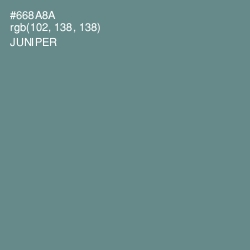 #668A8A - Juniper Color Image