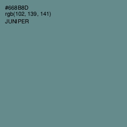 #668B8D - Juniper Color Image