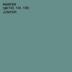 #668F8B - Juniper Color Image