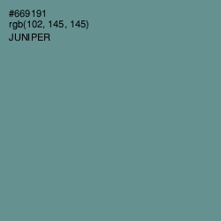 #669191 - Juniper Color Image