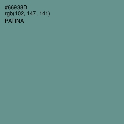 #66938D - Patina Color Image