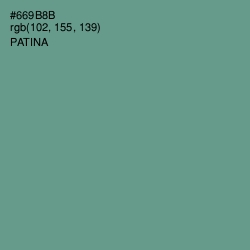 #669B8B - Patina Color Image