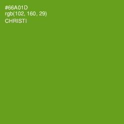 #66A01D - Christi Color Image