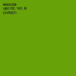 #66A208 - Christi Color Image