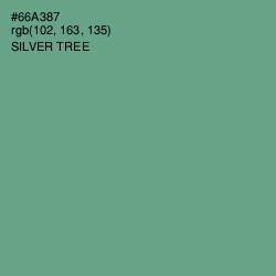 #66A387 - Silver Tree Color Image