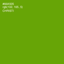 #66A505 - Christi Color Image