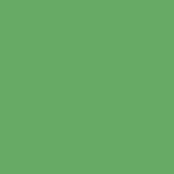 #66A967 - Fern Color Image