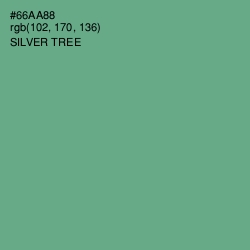 #66AA88 - Silver Tree Color Image