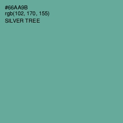 #66AA9B - Silver Tree Color Image