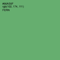 #66AE6F - Fern Color Image