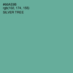 #66AE9B - Silver Tree Color Image