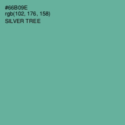 #66B09E - Silver Tree Color Image