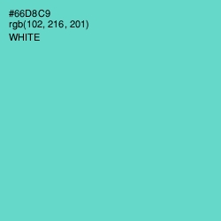 #66D8C9 - Downy Color Image