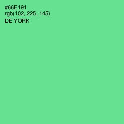 #66E191 - De York Color Image