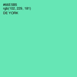 #66E5B5 - De York Color Image