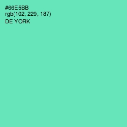 #66E5BB - De York Color Image